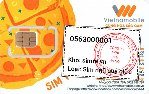 Sim 0563000001