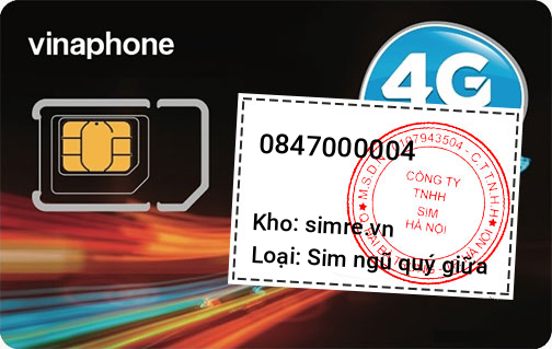 Sim 0847000004